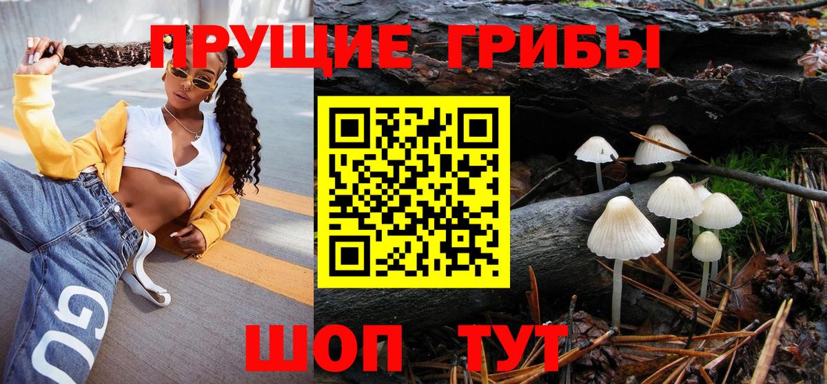 Рославль  Галлюциногенные грибы GOLDEN TEACHER  Галлюциногенные грибы прущие грибы  Вход с VPN 