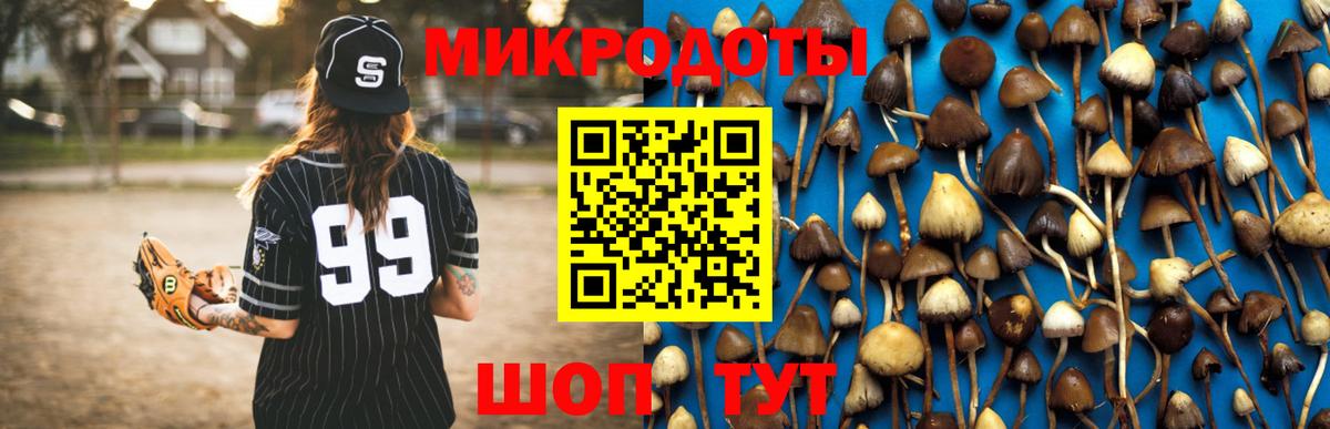 Галлюциногенные грибы мухоморы Рославль